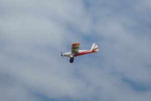 2026-05-30 (19)